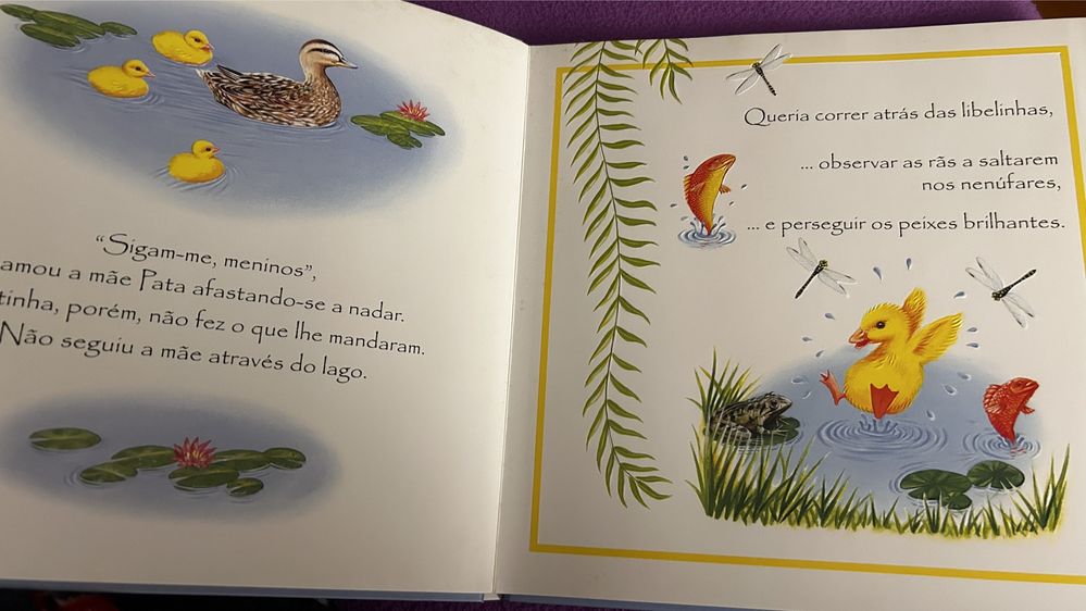 A patinha perdida, livro com relevo