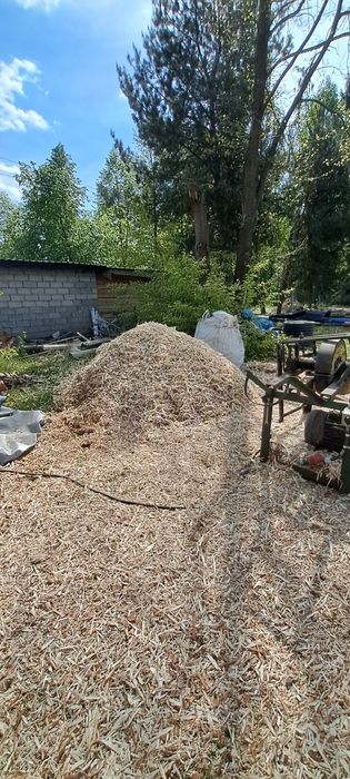 Wióry drewniane zrebka kora  trociny  z korowarki