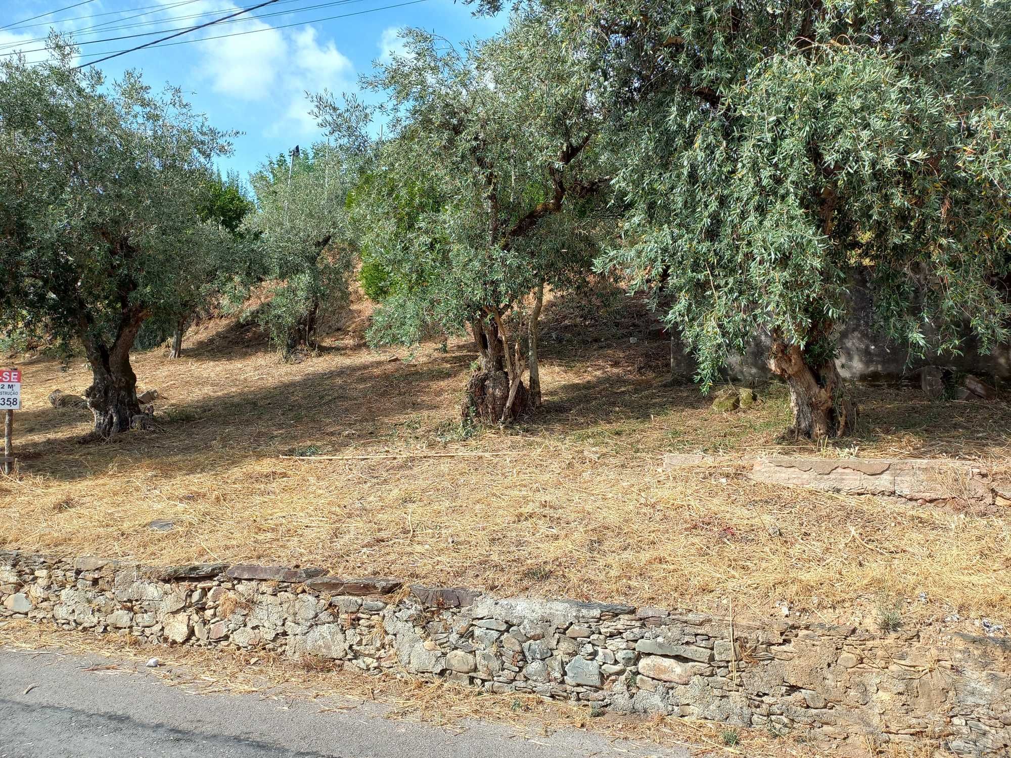 TERRENO Urbano com viabilidade para construção