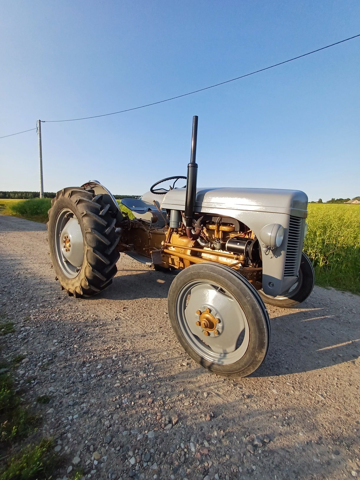 Massey ferguson TEA 20