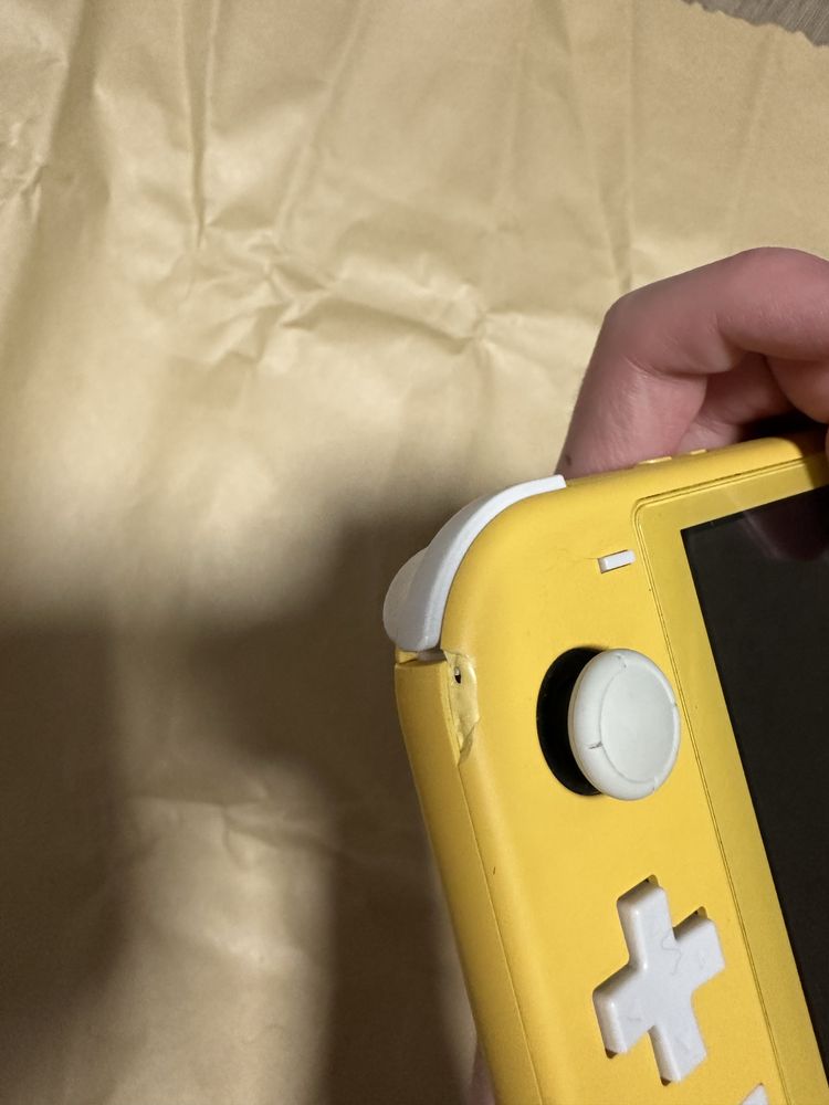 Nintendo switch lite