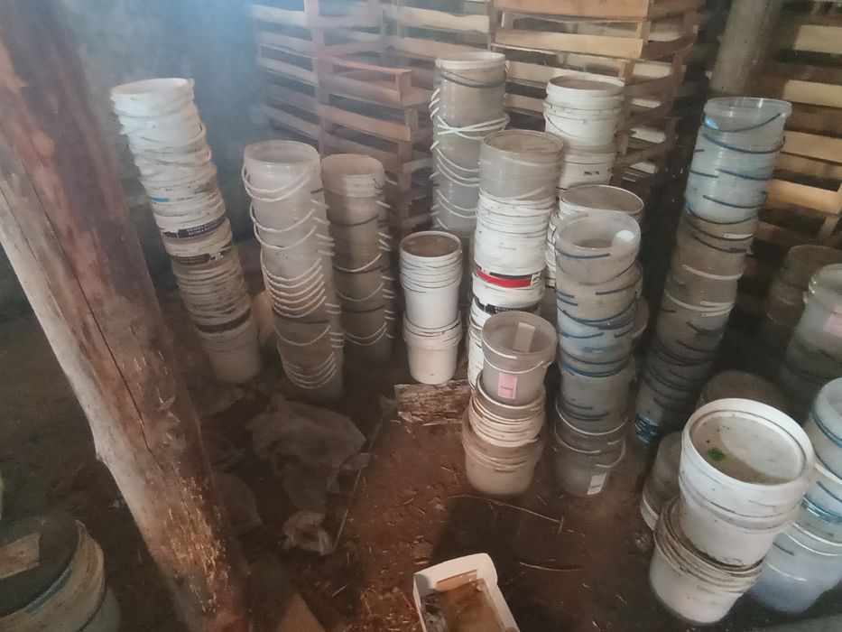 Продам ящики пластикові дерев'яні