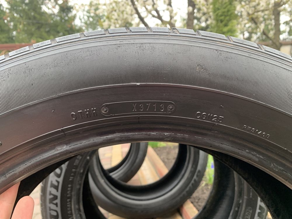 Автомобільні шини Dunlop grandtrek st 30 245/55/r19