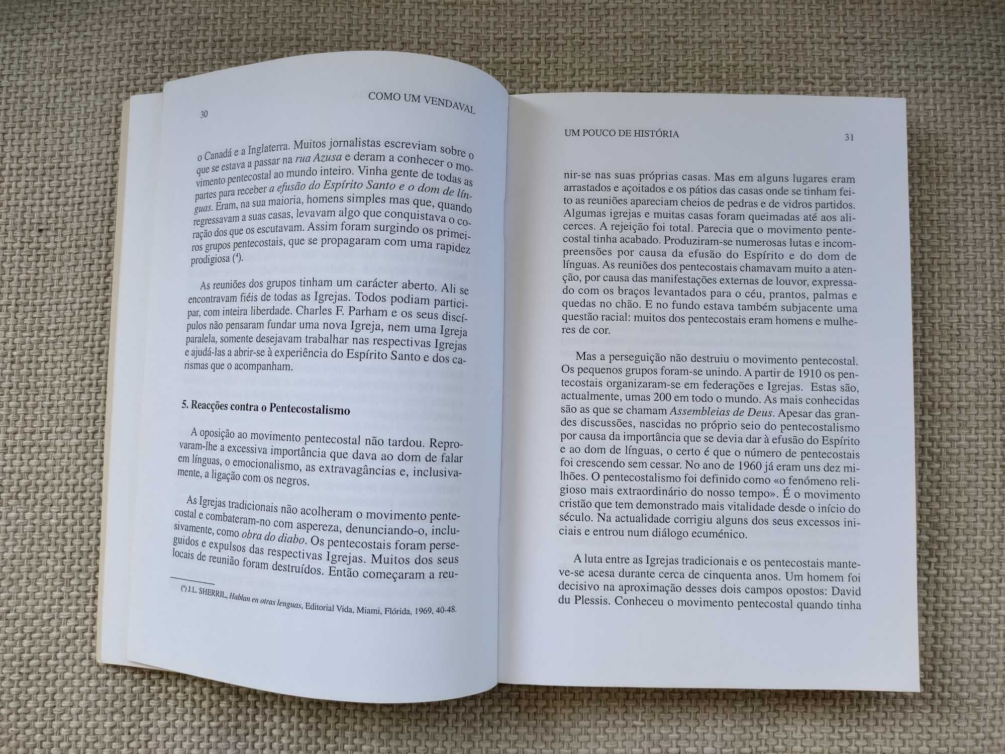 Como um Vendaval… O Renovamento Carismático (Vicente Borragán Mata)