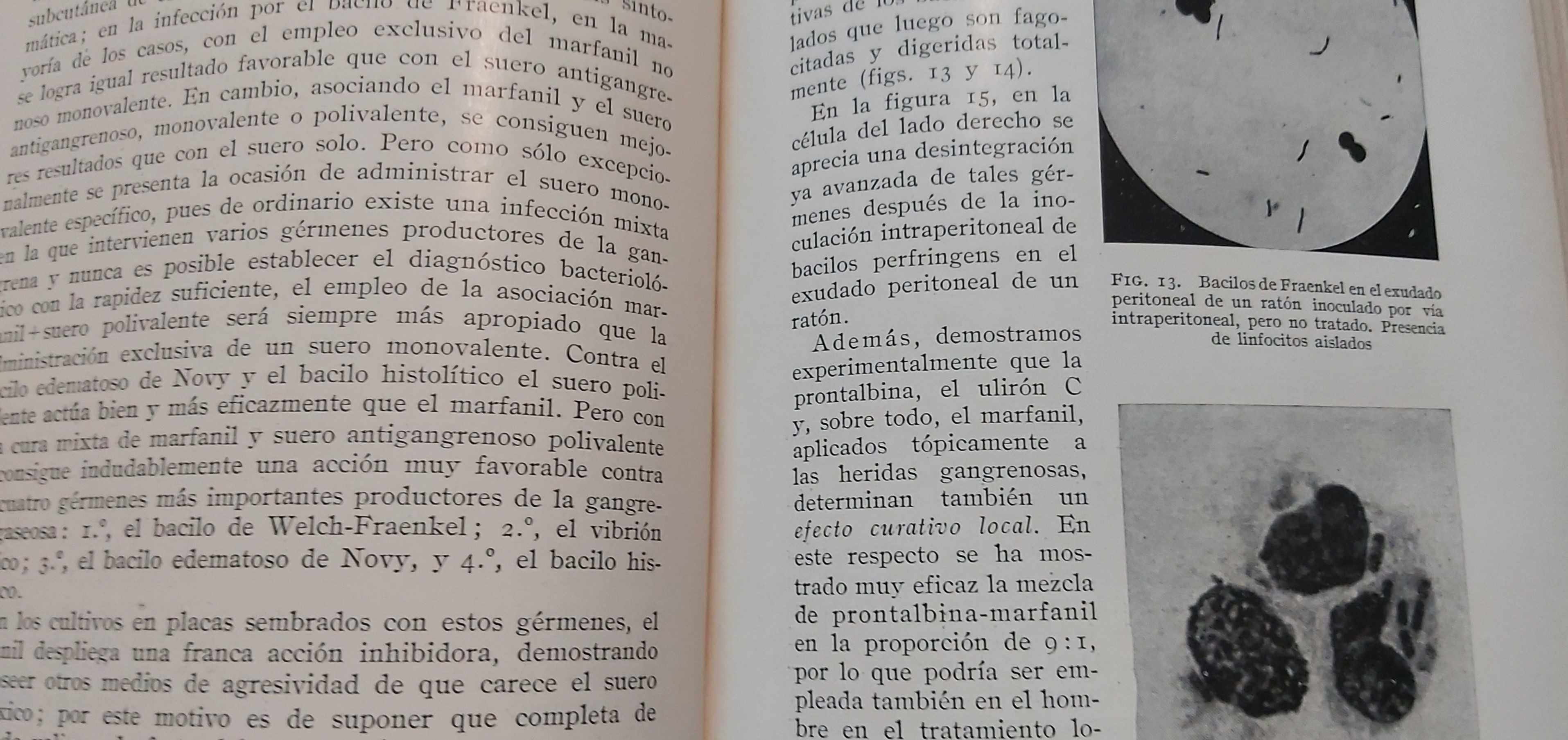 Livro Medicina - Quimioterapia das infeções bacterianas de 1945