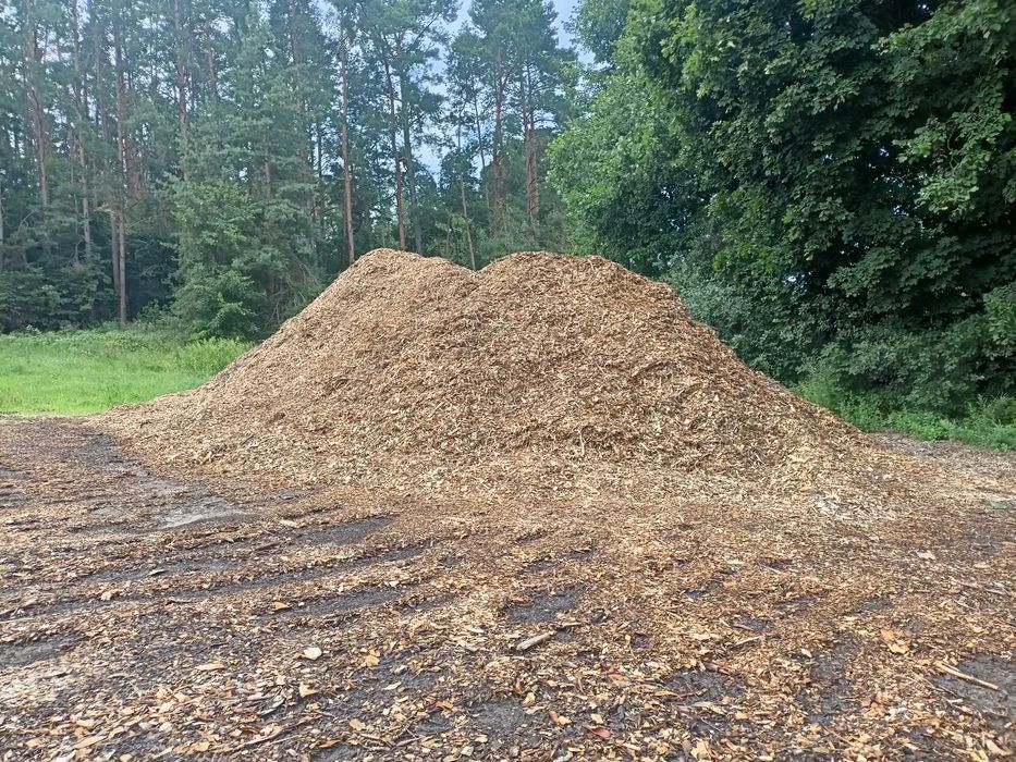 Zrębka leśna - opał, drzewo, podłoże, ściółka