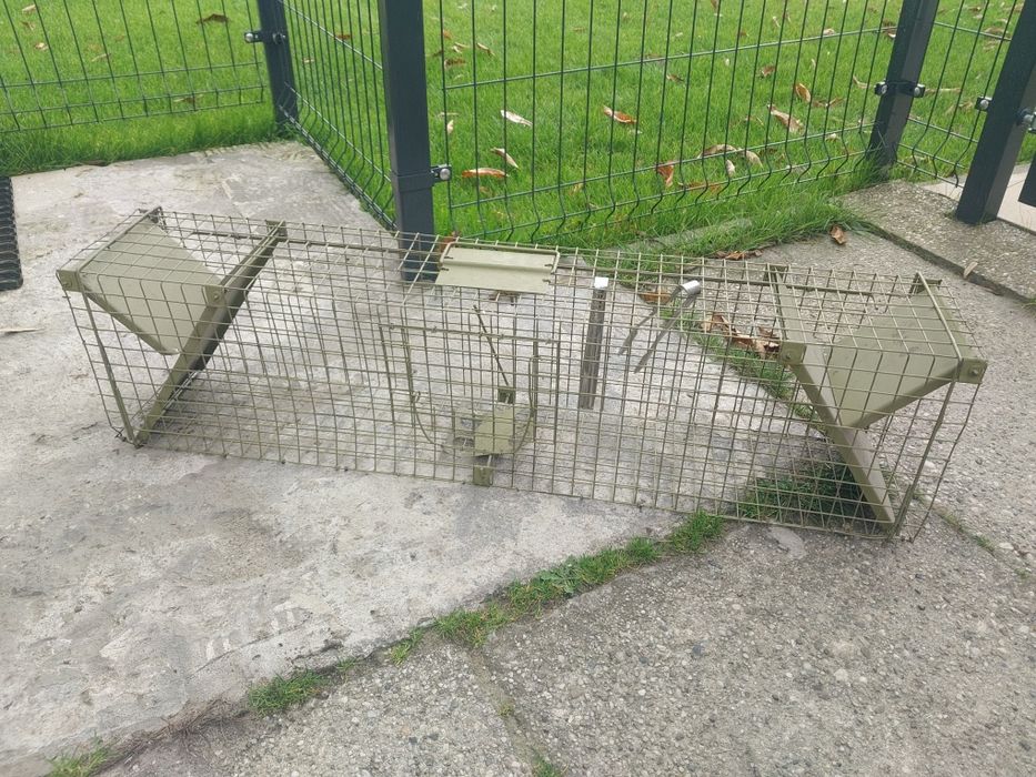 Klatka łapka na kuny koty lisy