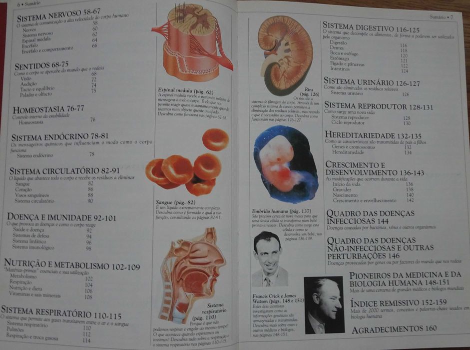 Dicionário Escolar do Corpo Humano