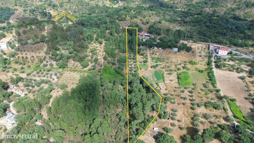 Terreno Rústico  Venda em Salgueiro do Campo,Castelo Branco