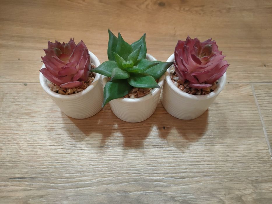 Sztuczne rośliny, sukulenty, ceramika, ozdoby