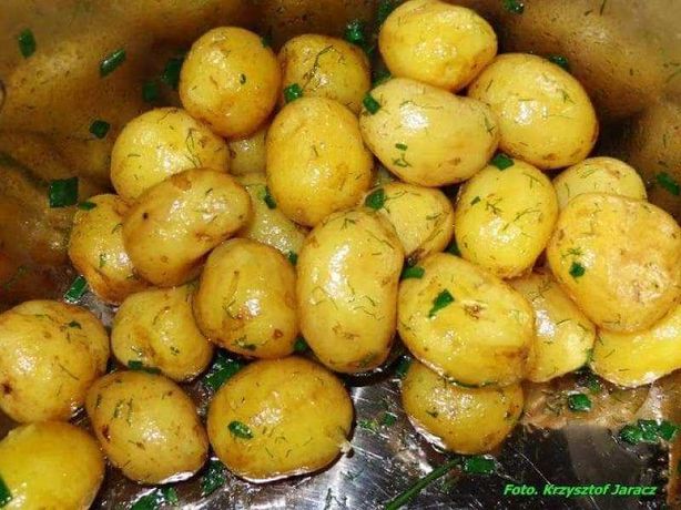 ziemniaki Falczewo