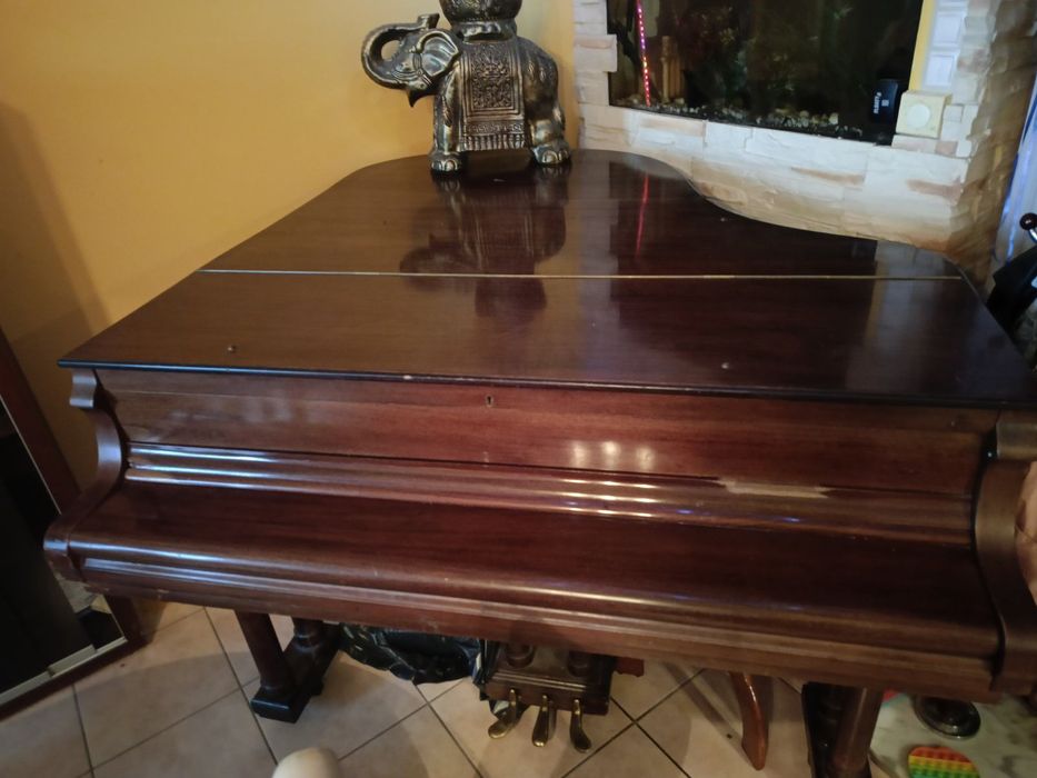 Fortepian Pettersson and Soon