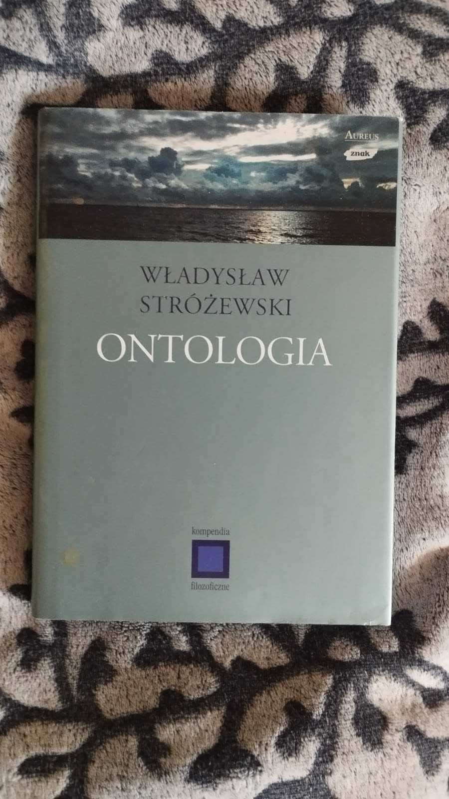 Ontologia Władysław Stróżewski