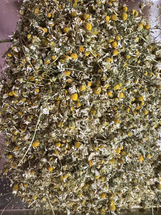 100г-65грн Ромашка лікарська сушена цвіт,квіти ромашки лікарської