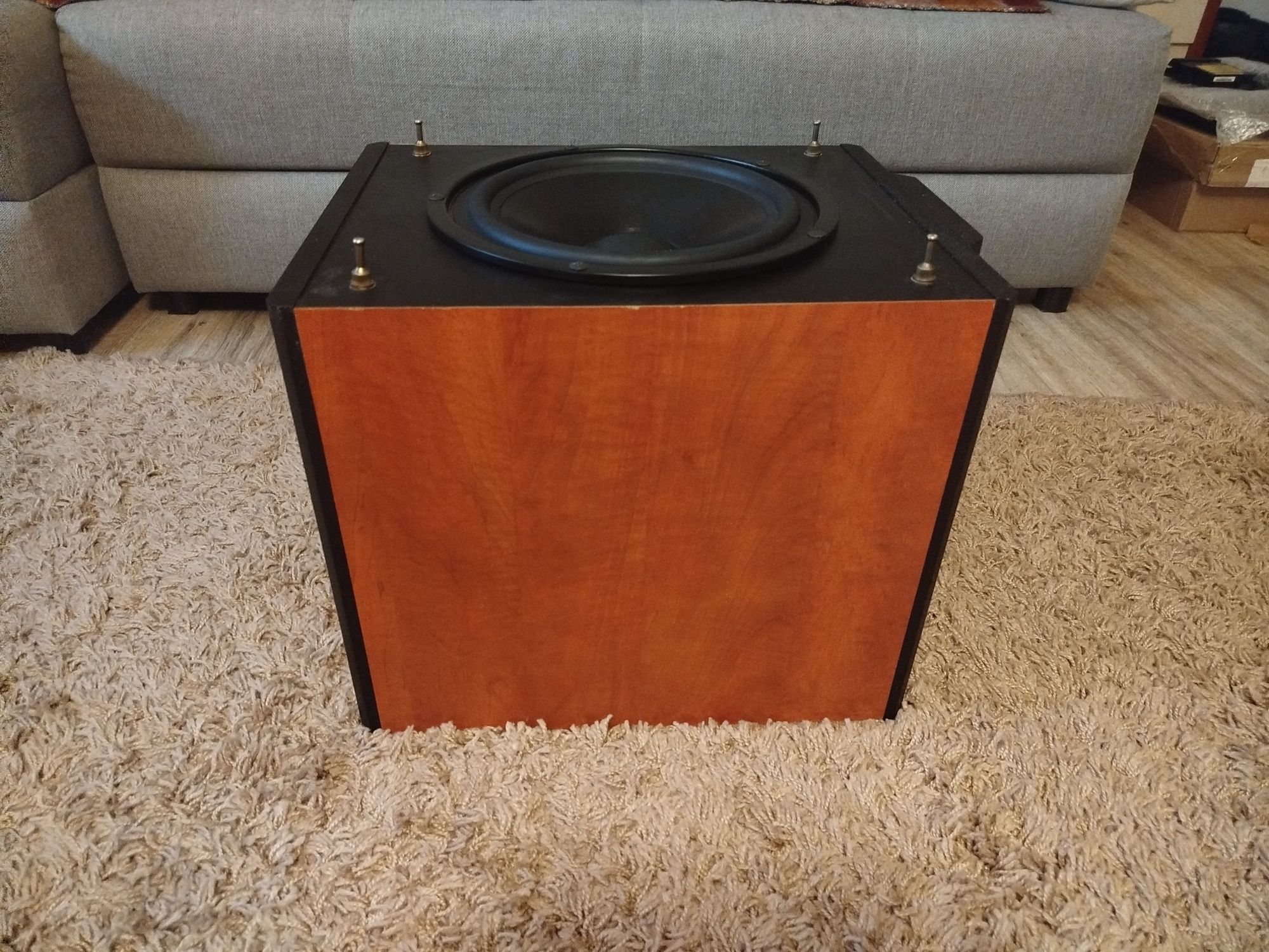 Subwoofer STX model A10  150W