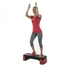 step deska christopeit