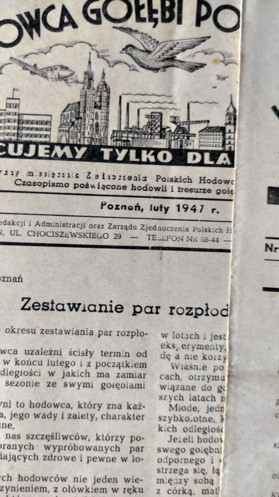 Hodowca gołębi pocztowych rok 1947.
