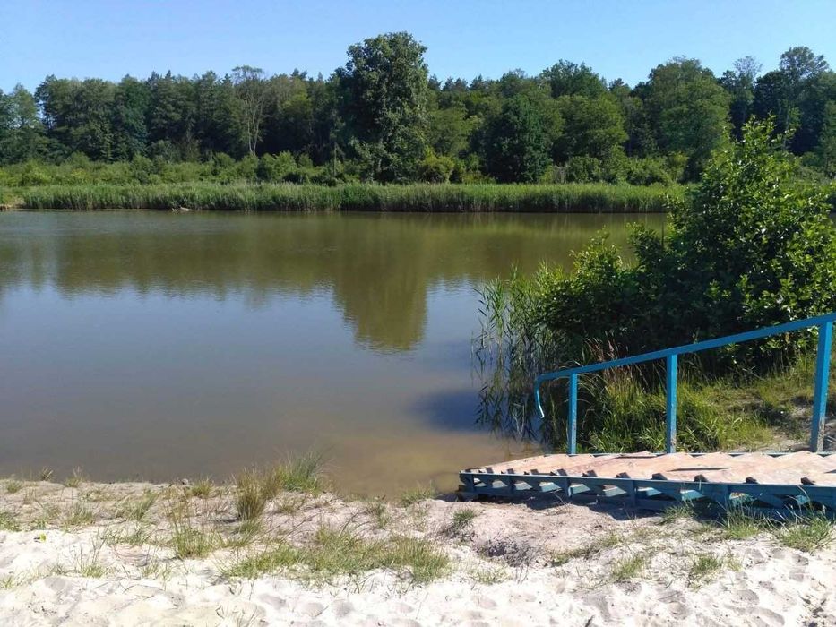 Я Продам дачу, Кам’яна Гора, масив Борковський