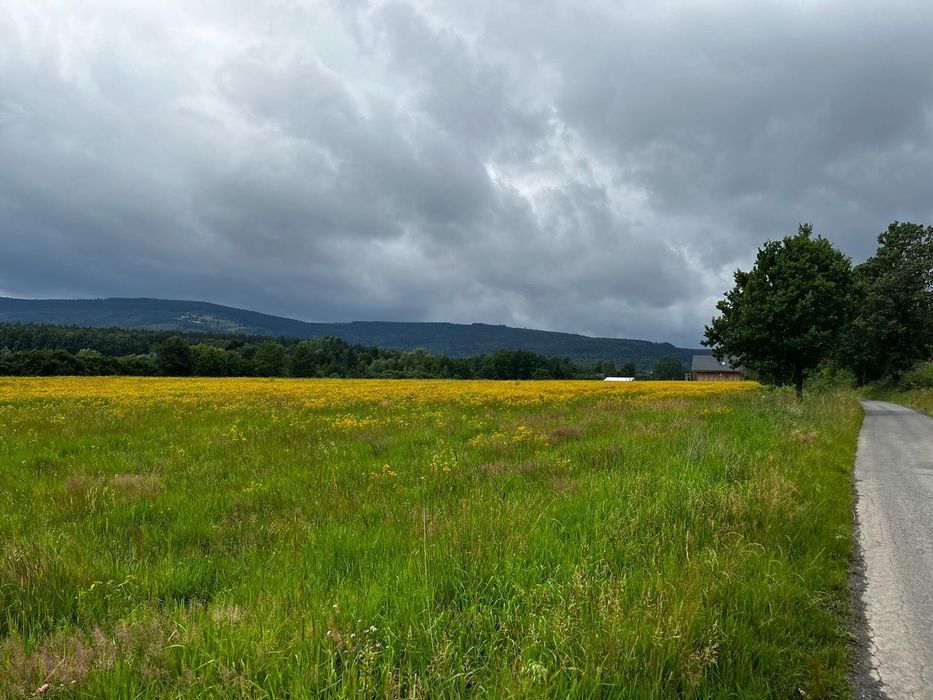 Działka budowlana w górach na sprzedaż - Starków, Kotlina Kłodzka