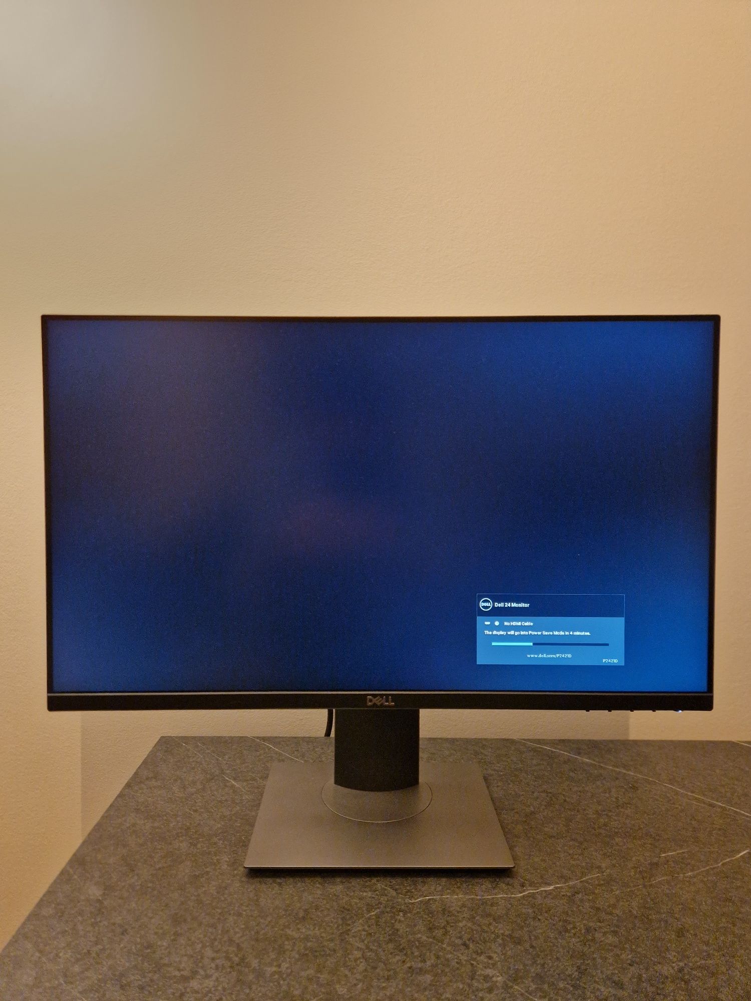 DELL P2421D (MONITOR 2K 1440P)