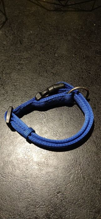 Ladna solidna obroża dla małego psa Trixie