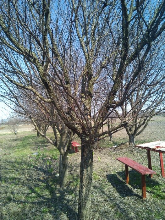 Продам ділянку під забудову з приєднаною електроенергією в м.Березань