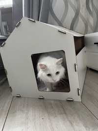 Домик для котика собачки дом для кота
