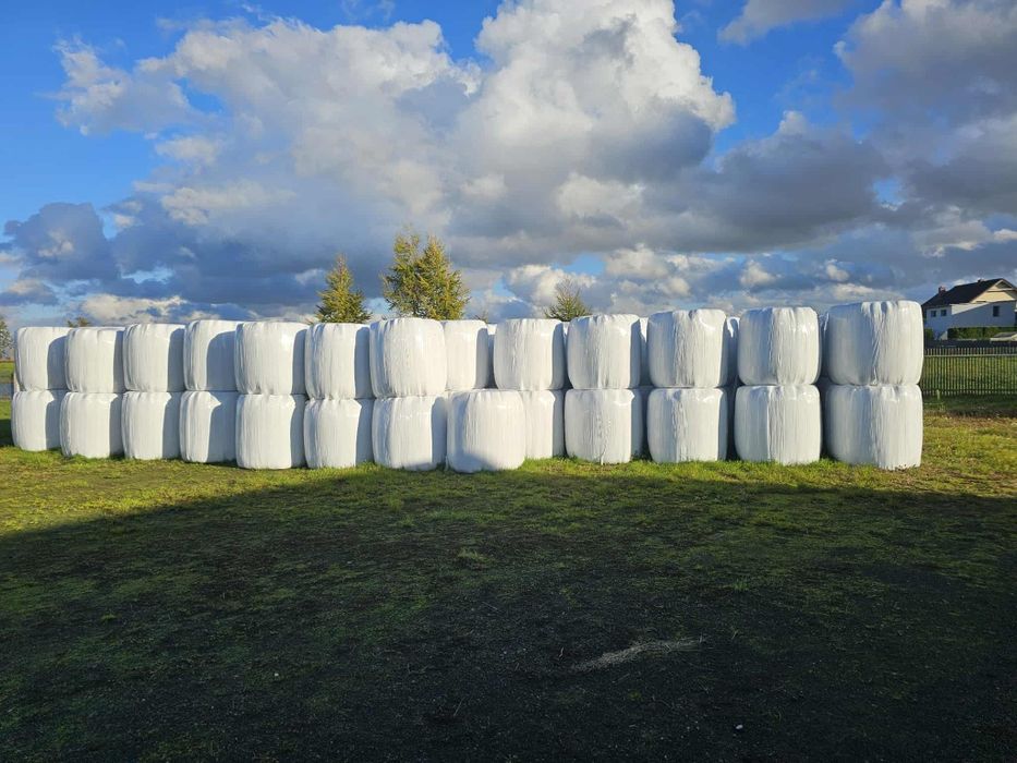 Baloty sianokiszonki