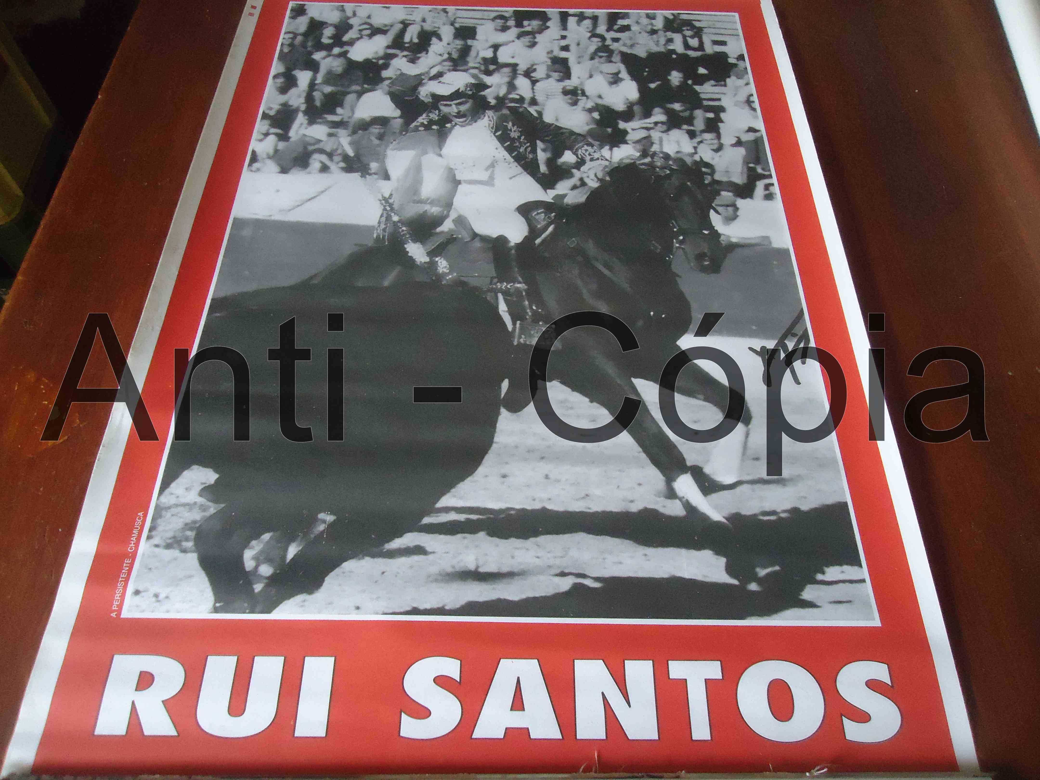 Toiros - Cartazes 3