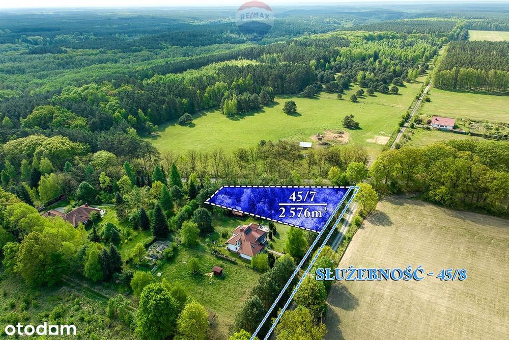 Malownicza działka / Gryżyński Park Krajobrazowy