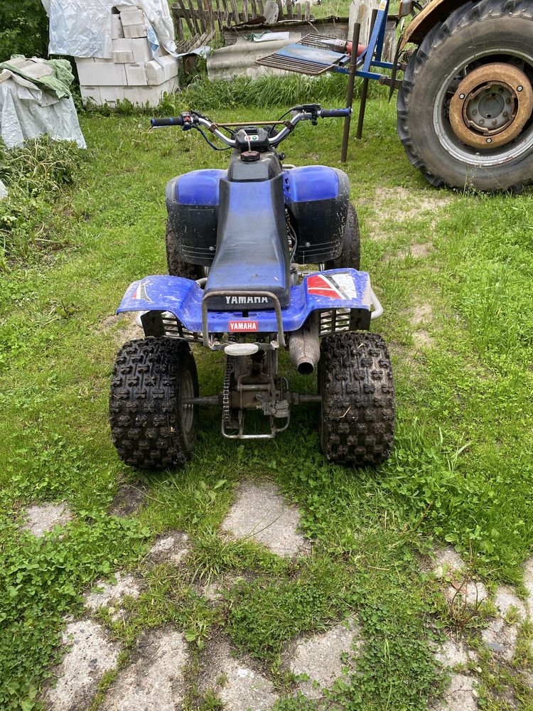 Yamaha warrior 350