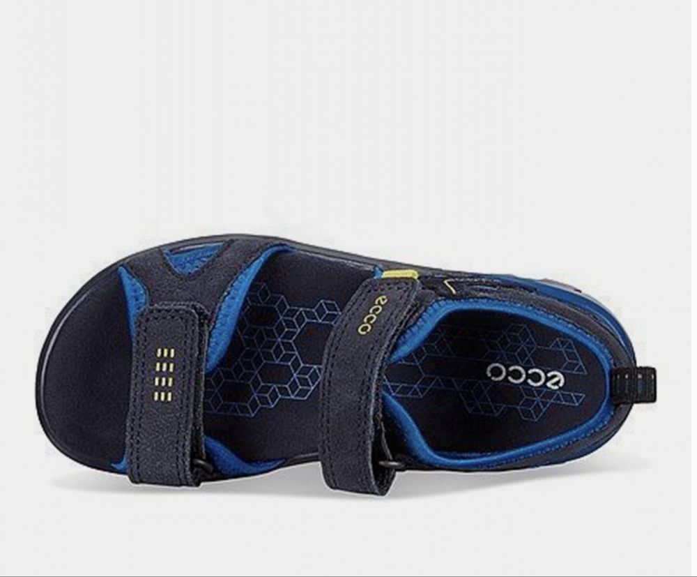 Босоніжки Ecco Biom p 30