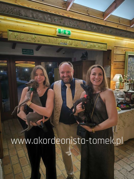 Akordeonista do wynajęcia !