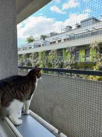 Siatki Zabezpieczające na Balkon dla kota. Złota Rączka.