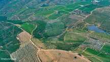 Terreno  para venda