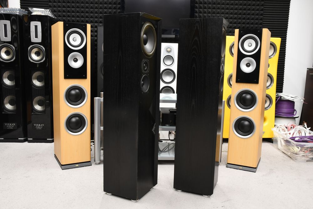 kolumny Głośnikowe podłogowe stereo T+A Criterion T100