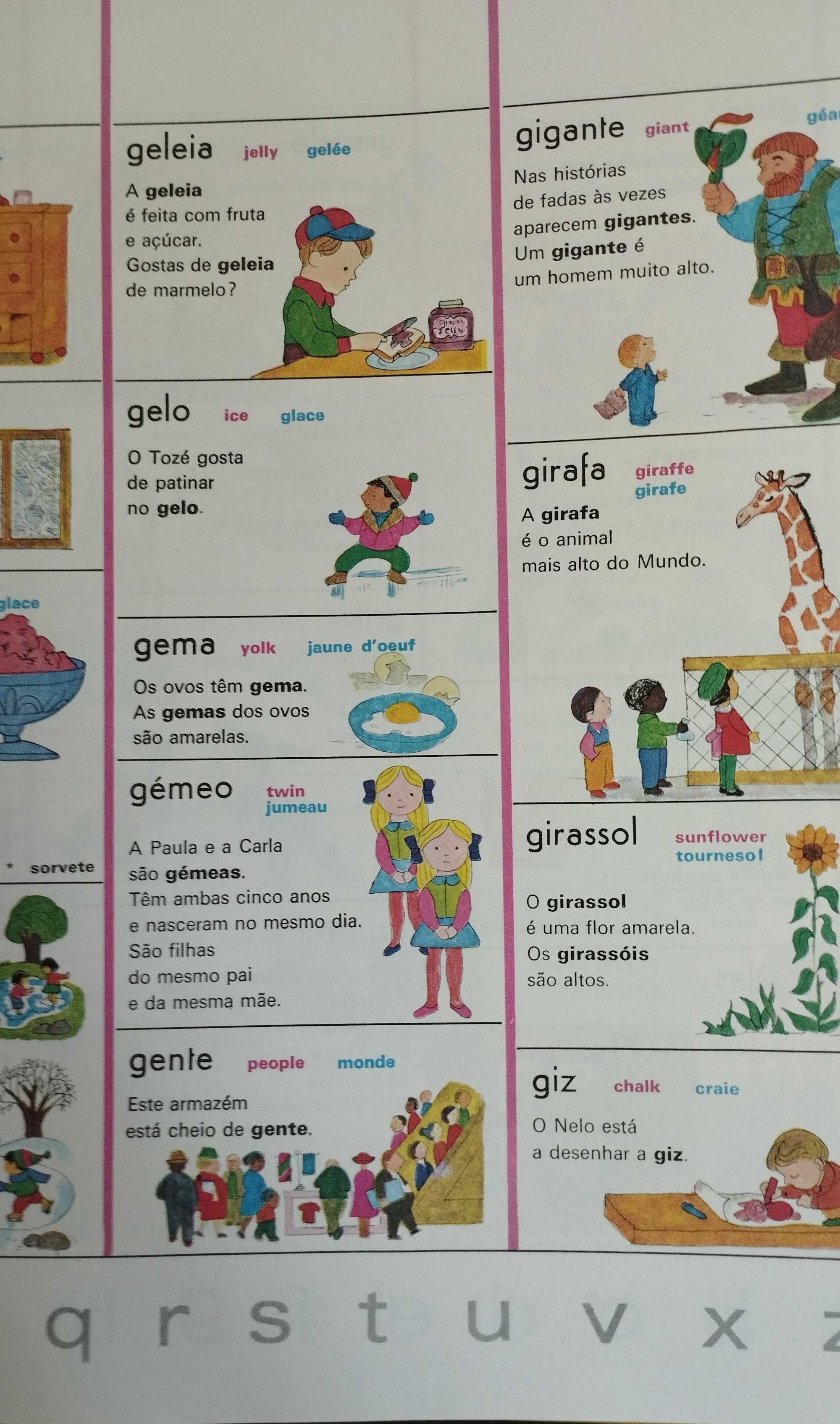 Dicionário infantil dos três idiomas