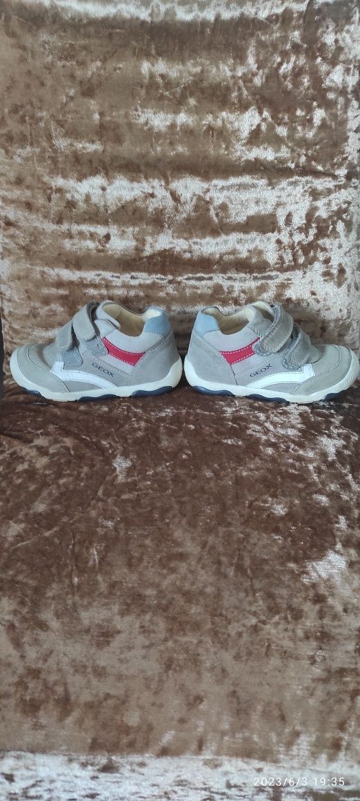 Geox adidasy 23  dla chłopca