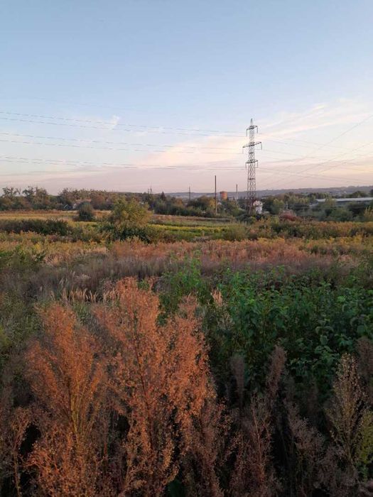 Продаж земельної ділянки Муроване БЕЗ КОМІСІЇ