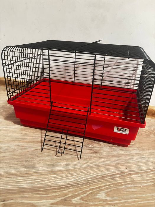 Sprzedam chomika syryjski  samiec