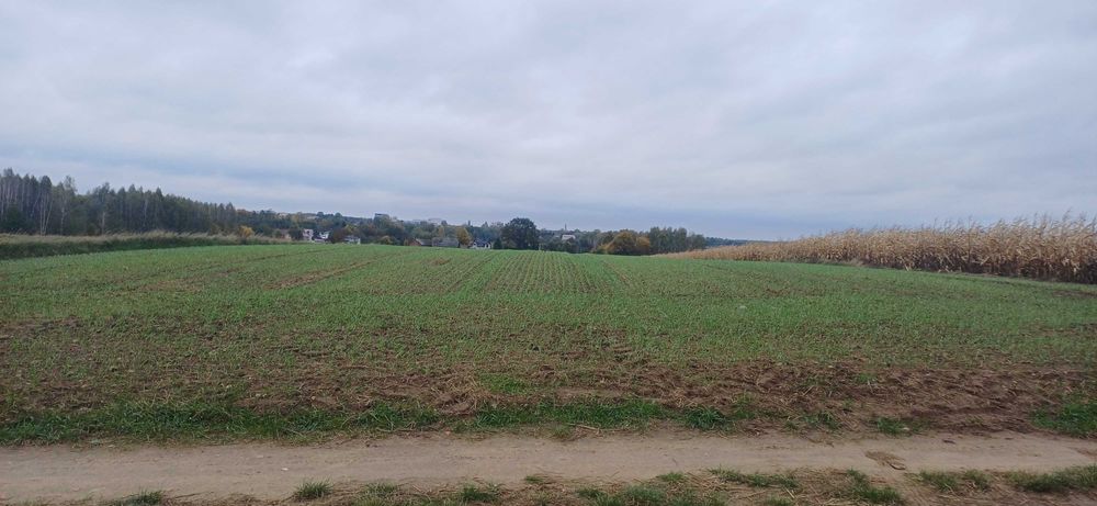 Działka budowlana Smolice