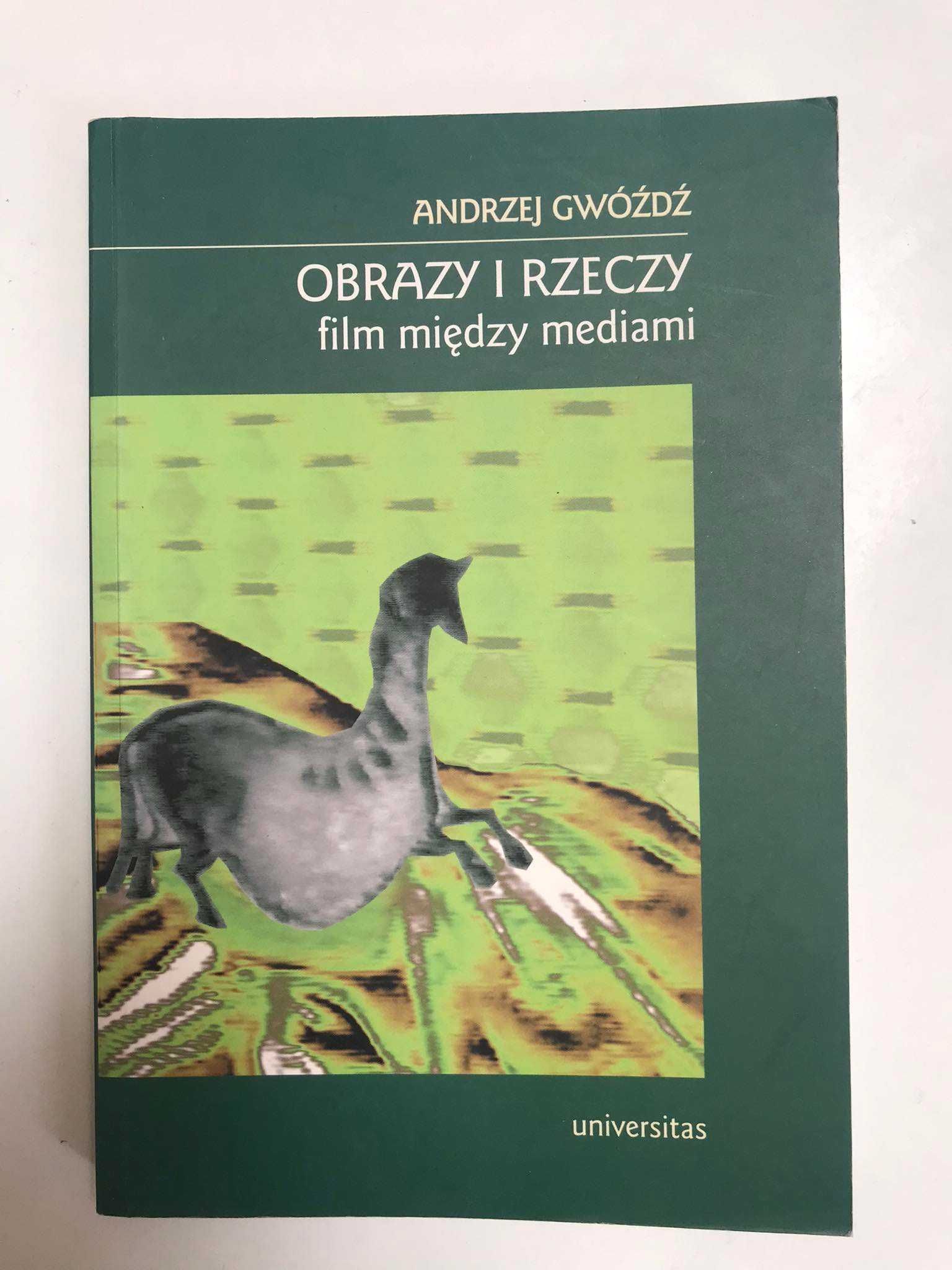 Obrazy i rzeczy film między mediami