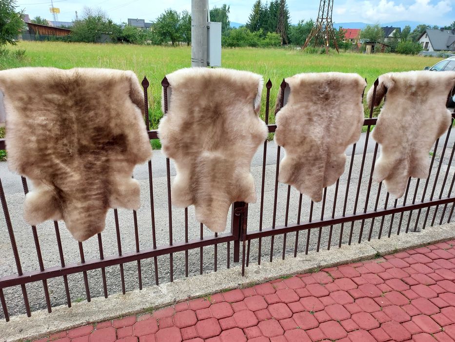 Skóra Owcza Naturalna MURDZIATA Czarnogłówka Prawdziwa Skóra Owcza