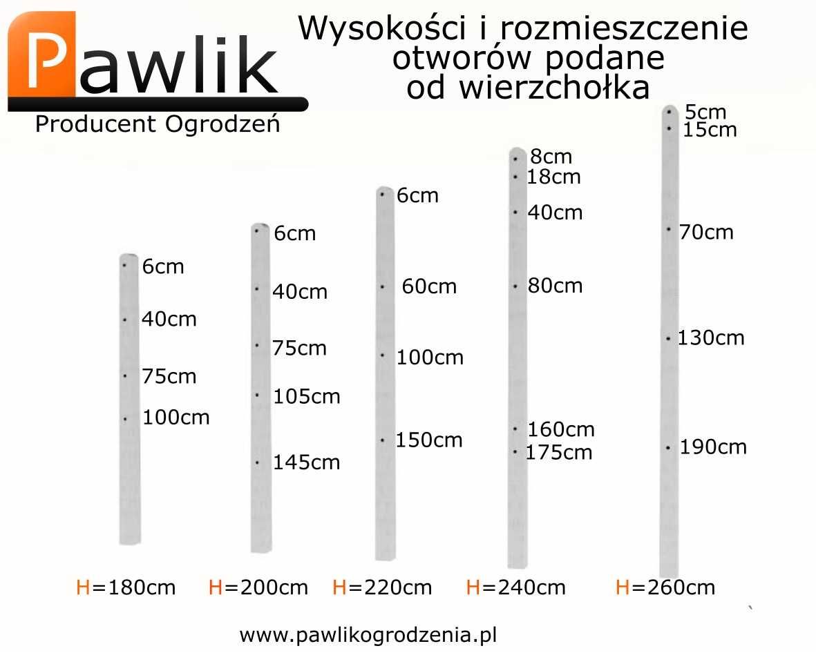 Słupek betonowy do malin | Siatka leśna  a+