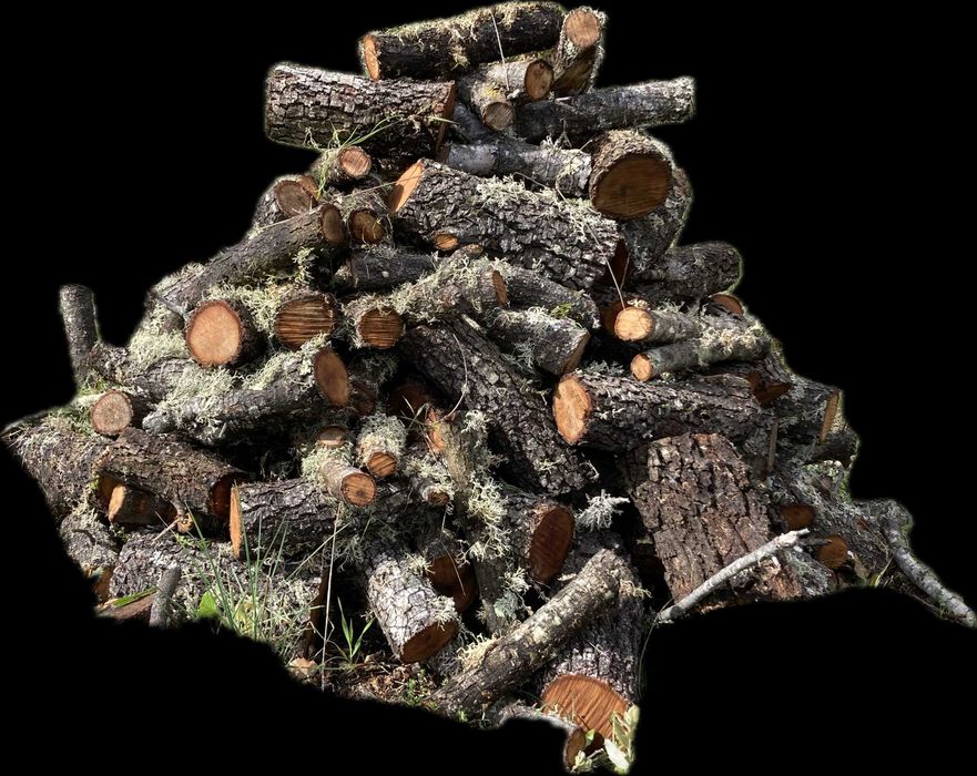 Lenha de azinho - limpeza