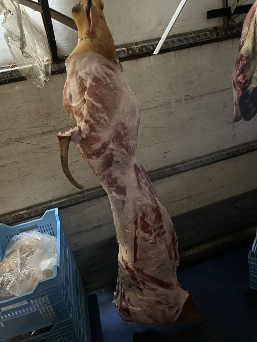 Мʼясо Свинина Телятина Сало Домашнє