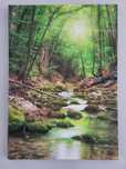 Obraz 70x50 las krajobraz