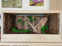 Sprzedam Terrarium