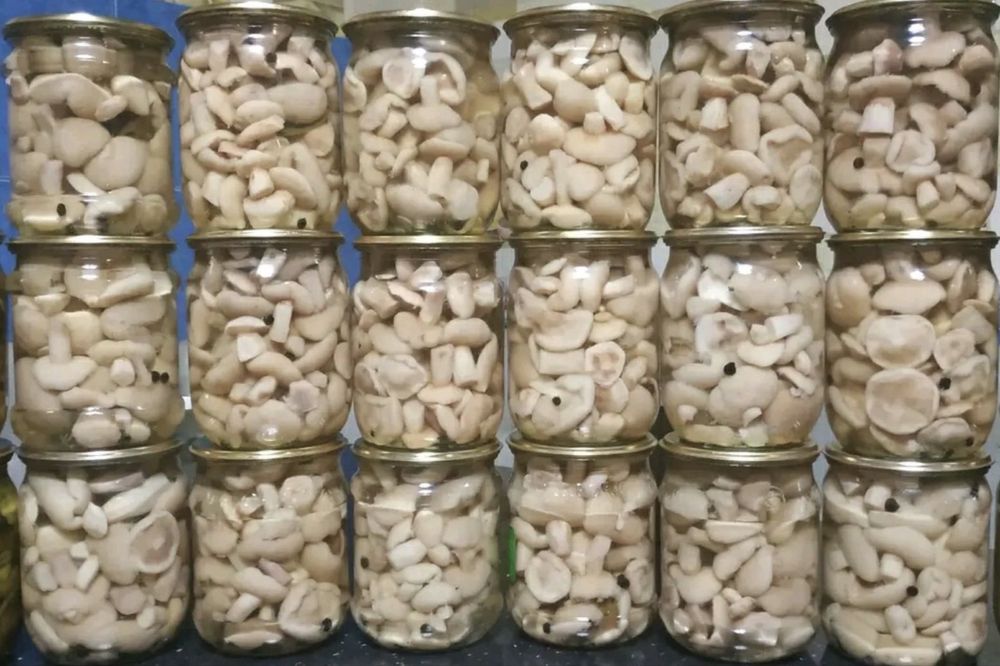 Мариновані грибочки, смачний маринад, широкий асортимент різних видів