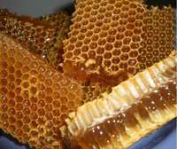 Продам бджолині сім'ї з вуликами